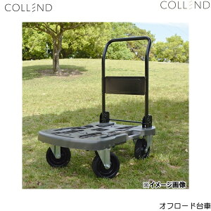 ORT-OD Rh COLLEND It[h 