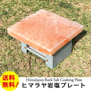 q}≖v[gMTCY1@ԊOʂŐHނW[V[Ɏdグēv[g BBQ hgv[g ≖v[gԂ ^CNɁySz