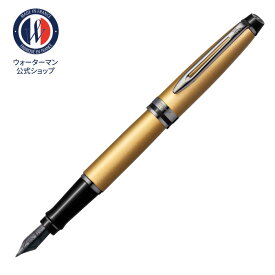 【生産終了モデル30％OFF】ウォーターマン 公式 名入れ/送料/ラッピング無料 万年筆 エキスパート メタリックコレクション メタリックブラックRT / メタリックシルバーRT / ゴールドRT / ローズゴールドRT プレゼント ギフト お祝い 記念日 WATERMAN lo23