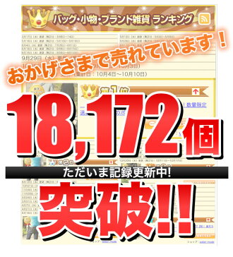 【メール便送料無料対象商品】ウエストポーチウエストバッグ楽天ランキング1位!売れているのにワケがある!5.2リットル人気メンズレディース男女兼用ヒップバッグレディースママバッグマザーバッグウェストバッグ鞄3E82仕事用法人