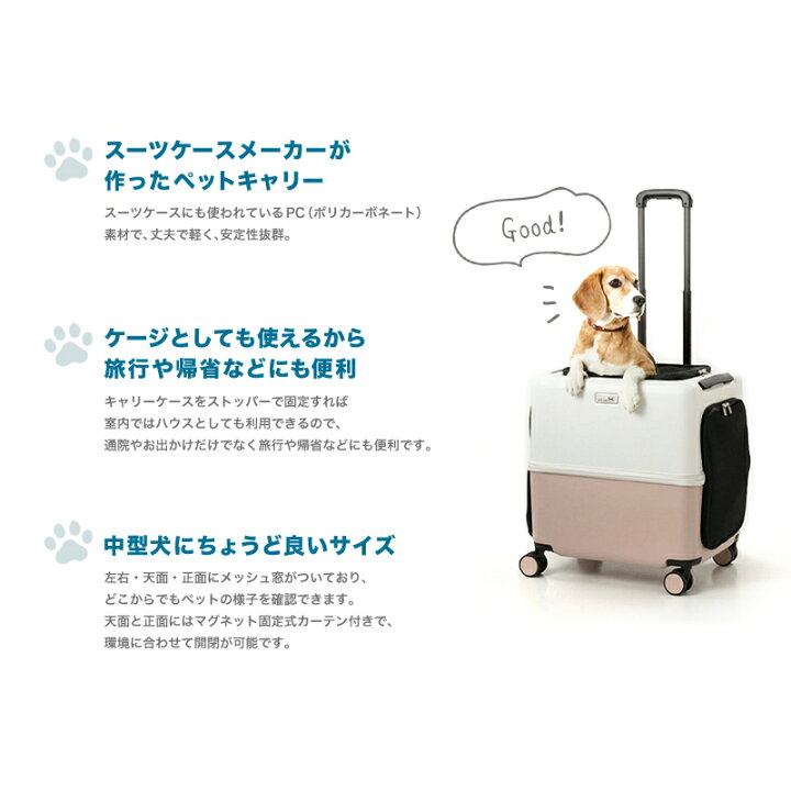 楽天市場】【2026年新型モデル】今なら専用クッションをプレゼント 
