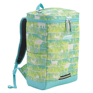 LbY bN R[} 18L ̎q j̎q w wN wN qǂ q ǂ WjA ʊw ʉ AEghA Lv uh [J[ 킢  ct ۈ牀 XN