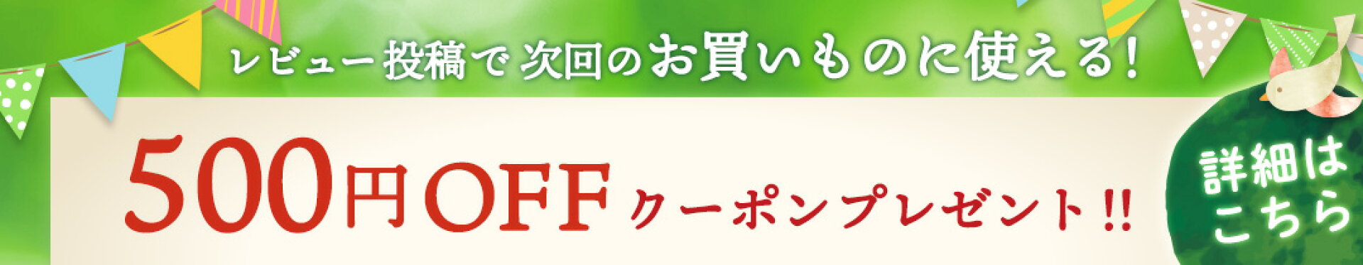 レビュー投稿で500円OFFクーポンプレゼント！