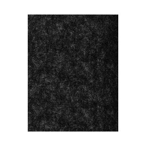 yIׂS3z[]COWAY C@ AIRMEGA 200 JX^tB^[ /Vz/_uEL Ki ̌