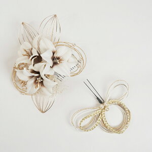  l Ǝ   U   { Watmosphere gXtBA 25w206 y ݂  [t 2_Zbg  ݑ fB[X R[ us  a 瑕p  w