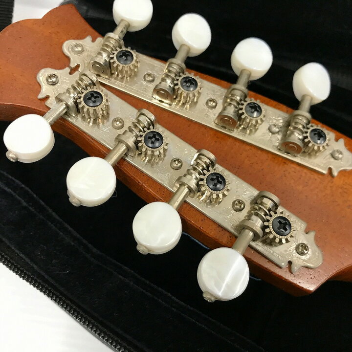 楽天市場】TSUNEO FUJIMARU 藤丸常夫 マンドリン ハードケース付き 