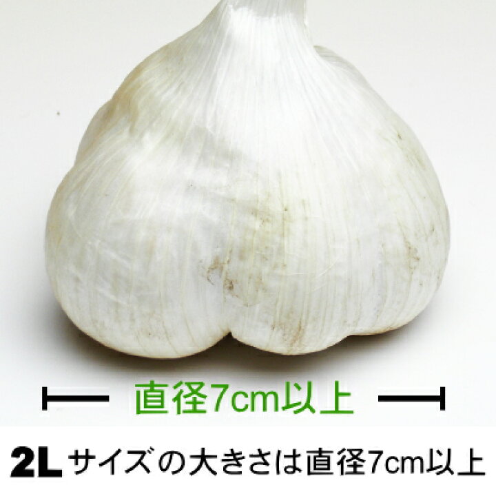 楽天市場】【令和6年産新物】青森県産 生にんにく 2Lサイズ 1kg～10kg  