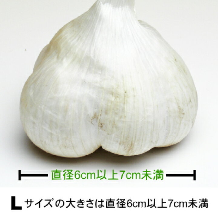 楽天市場】【令和6年産新物】青森県産 生にんにく Lサイズ 1kg～10kg 