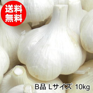 Xɂɂ Bi LTCY 1kg`10kg Y nzCgZ Hp ߘa7Nyz