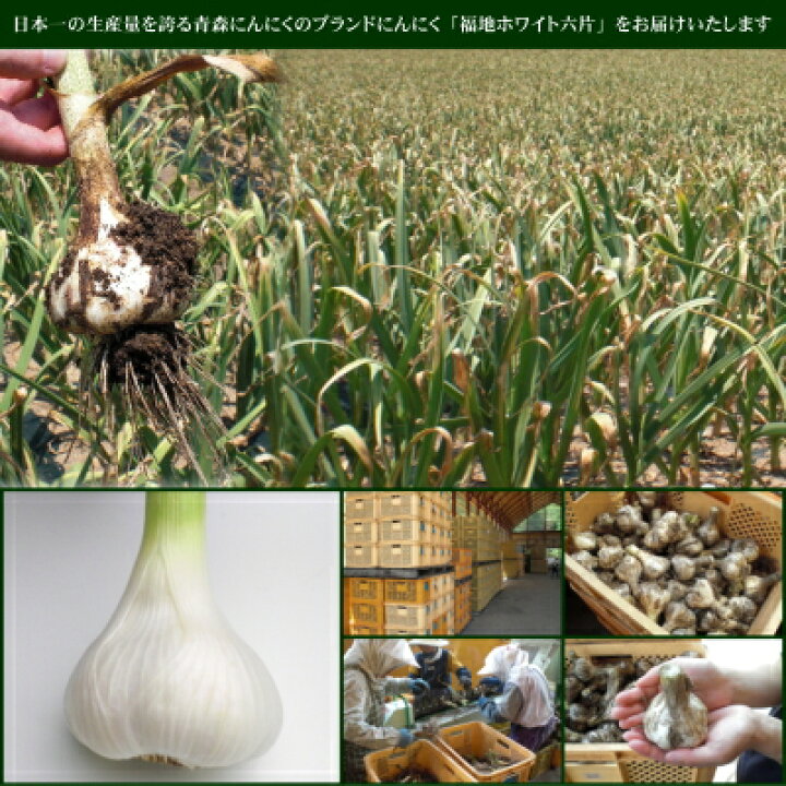 楽天市場】【セール価格】青森にんにく 訳あり Lサイズ 1kg～10kg 国産  