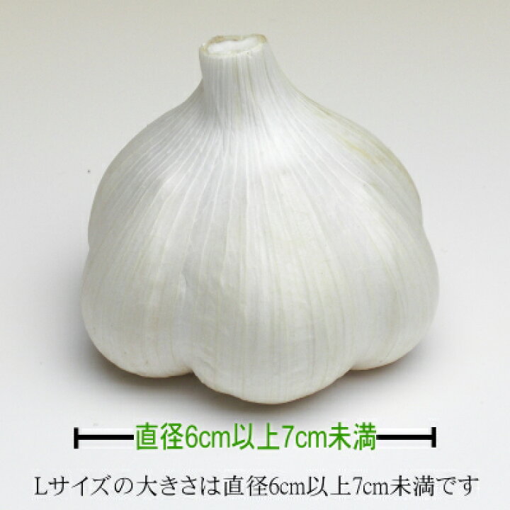 楽天市場】青森にんにく 訳あり Lサイズ 1kg～10kg 国産 福地ホワイト  