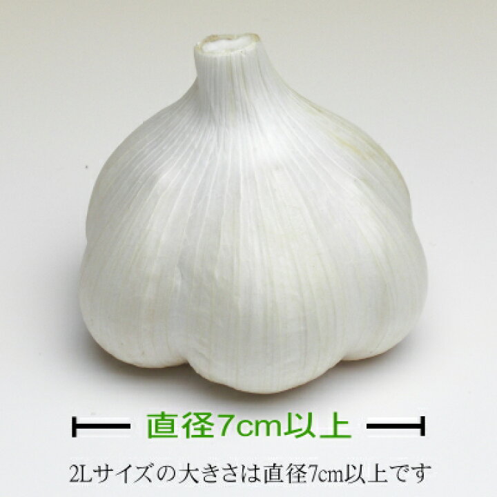 楽天市場】青森にんにく 訳あり 2Lサイズ 1kg～10kg 国産 福地ホワイト  