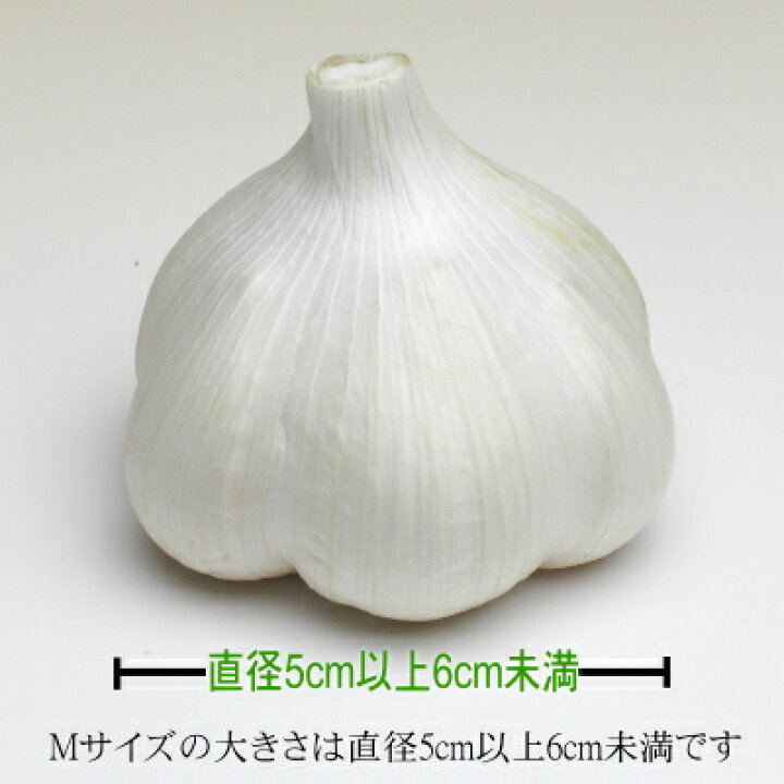 楽天市場】青森にんにく C品 訳あり Mサイズ 1kg～10kg 国産 福地 