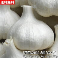 青森にんにく A品 Lサイズ 1kg～10kg 国産 福地ホワイト六片 食用 令和8年 送料無料