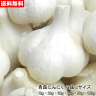 青森にんにく B品 Lサイズ 1kg～10kg 国産 福地ホワイト六片 食用 令和8年 送料無料