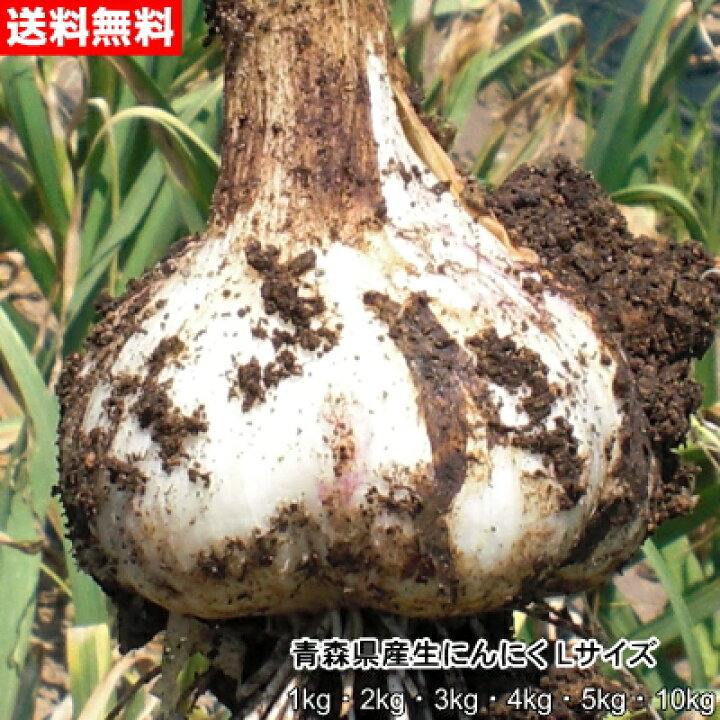 楽天市場】【令和6年産新物】青森県産 生にんにく Lサイズ 1kg～10kg 