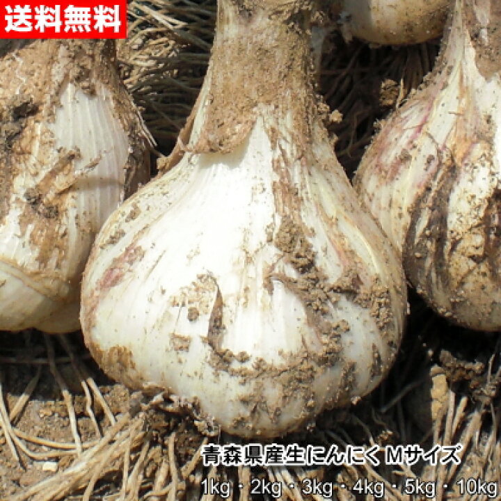 楽天市場】【令和6年産新物】青森県産 生にんにく Mサイズ 1kg～10kg  