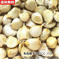 青森種子にんにく バラ 大小混合 1kg～10kg 種球 国産 福地ホワイト六片 令和8年産 送料無料