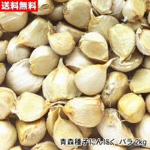 【数量限定】青森種子にんにく バラ 1kg〜10kg 種球 国産 福地ホワイト六片 令和7年産【送料無料】