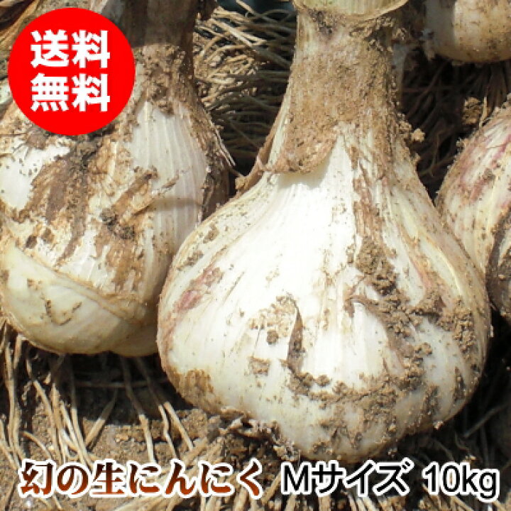 楽天市場】【令和7年産新物】青森県産 生にんにく Mサイズ 1kg～10kg 