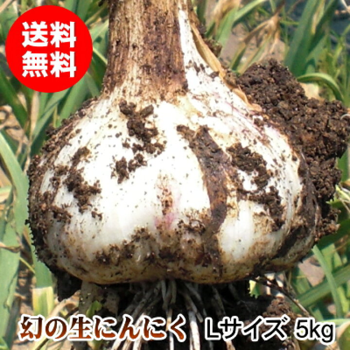 楽天市場】青森県産生にんにく Lサイズ 1kg～10kg 国産 福地ホワイト六 