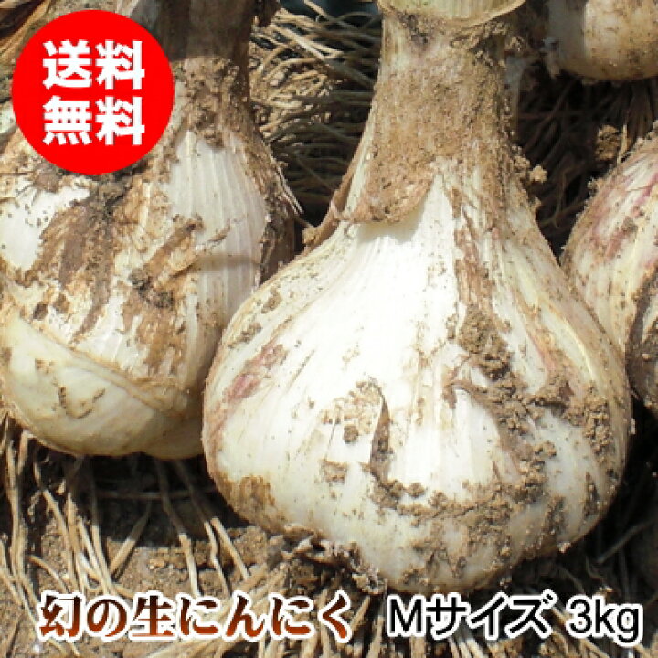 楽天市場】青森県産生にんにく Mサイズ 1kg～10kg 国産 福地ホワイト 