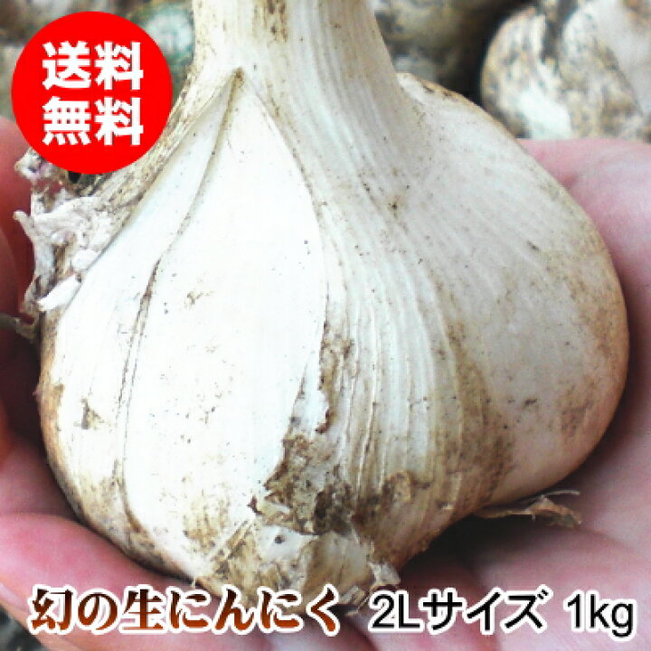 楽天市場 青森県産 生にんにく 2lサイズ 1kg 食用 令和3年 送料無料 みちのく処 わっつど