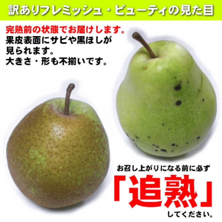 楽天市場】西洋梨フレミッシュ・ビューティ約5kg（13玉〜18玉） [別名