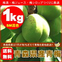 【送料無料】青森県産青梅（品種：豊後梅）SMサイズ混合1kg[※クール便対応] ランキングお取り寄せ