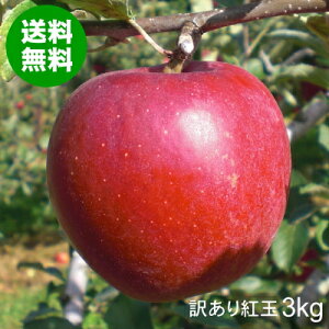 g 󂠂  3kg XY Hp [oEсEقEFނE}LEẢL]yz