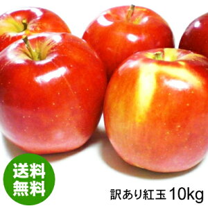 g 󂠂  10kg XY Hp [oEсEقEFނE}LEẢL]yz
