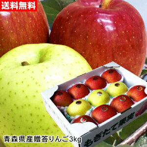 y12{o׊JnzΕɍœKȏ{̐VNXSwTӂсxMtgZbg[vdʖ3kg]yz