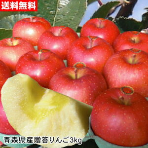 y12{o׊JnzΕɍœKȏ{̐VNXSwTӂxMtgZbg[3kg]yz