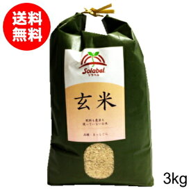 栽培期間中無肥料無農薬米まっしぐら玄米3kg（令和5年産・青森県産）【送料無料】