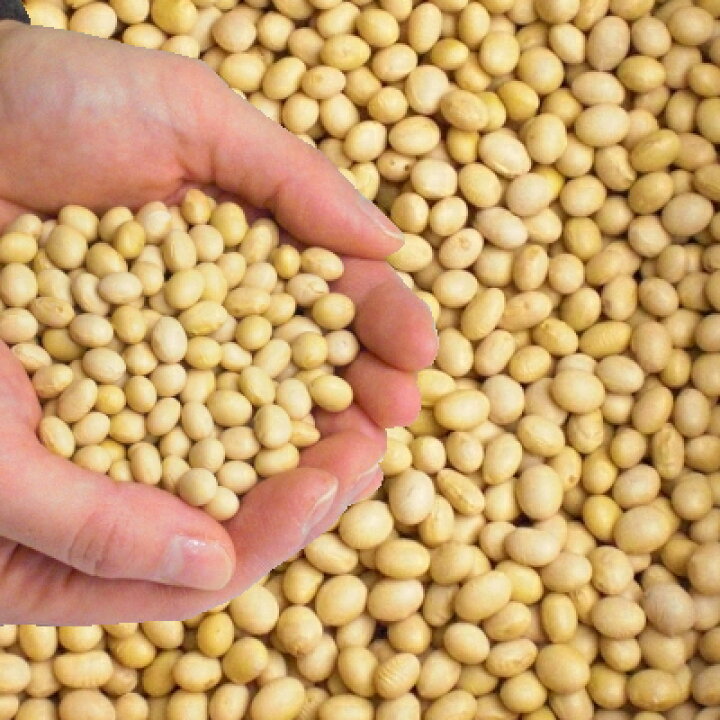 楽天市場】栽培期間中無肥料無農薬大豆700g[令和4年度産]（生産地 