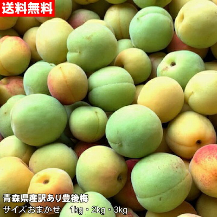 楽天市場】【令和7年産】【規格外】青森県産訳あり豊後梅 1kg～3kg 