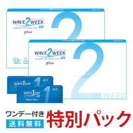 楽天市場 コンタクトレンズ 2weekの通販