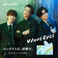 【2箱~】2week コンタクト WAVE 2ウィーク エアスリム plus 6枚入り 2ウィーク コンタクトレンズ 2週間使…