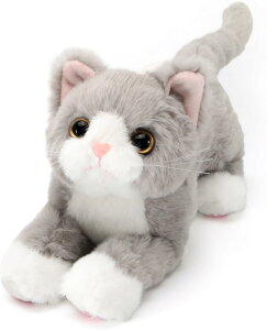 L ʂ    ˂ ӂӂ { A 킢  C _炩 Dw @\ w zCg Mtg  47cm q v[g NbV