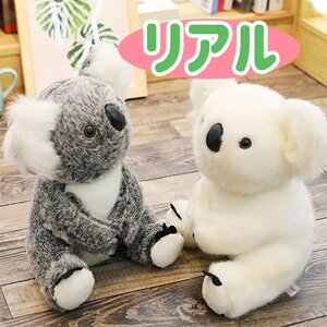 ʂ  RA  RAʂ  v[g ӂӂ GG n @\ o^Cf[ 蕨 g ʔMtg j 傫TCY _炩 q 