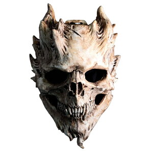 [ KCRc nEB XPg nEBRXv [}XN z[}XN ʔ RXv}XN  蕨 ϑp | | A 50cm lp w  Cx