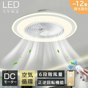 yԌzX[p[zZ[EX[p[SALEV[Ot@Cg T[L[^[ V[OCg g[ DC V[Ot@ 8  y ^ t@t LED @ 