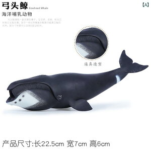 ͌^ ^ tBMA  ߋ vX`bN ÓI jZbNX RNV q Cm i C 