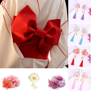 a  wAANZT[ Ci[ wbhMA K[ ʐ^ AeB[N  { t[TCY 킢 