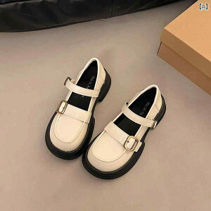 [t@[  fB[X V[Y t@bV Vv JWA W[ ʋ ʊw fC[ }`V[ tH