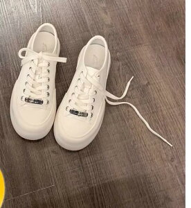 Xj[J[  fB[X V[Y t@bV Vv JWA W[ ʋ ʊw fC[ }`V[