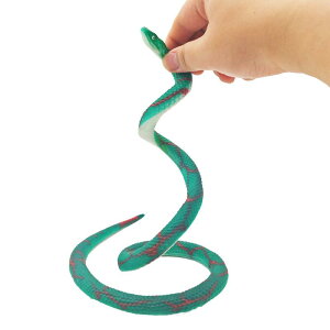  A  \tgo[ hbL  TvCY p[eB[ObY  tBMA ঒ G v[g j̎q ܂͗l   