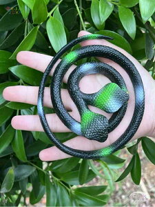  A  \tgo[hbL  TvCY p[eB[ObY tBMA ঒ x_ 悯 G v[g j̎q ܂͗l   