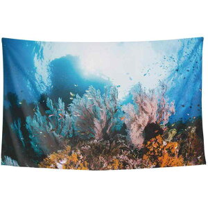 ^yXg[ C ` ݂艺 CeA Q rO Ǌ|  Be wi z A[g \ Vv _  C g R