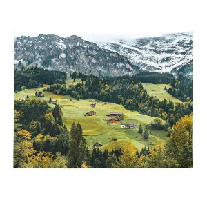 ^yXg[ R X ݂艺 R z i  wi   ` Ǌ| fR[V CeA tȒP